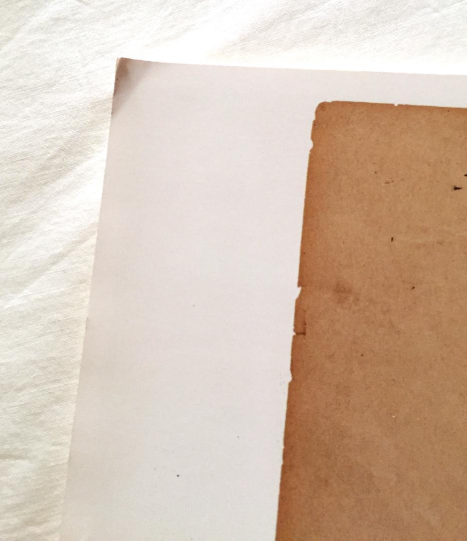 Barry McGee The Buddy System 作品集 バリーマッギー