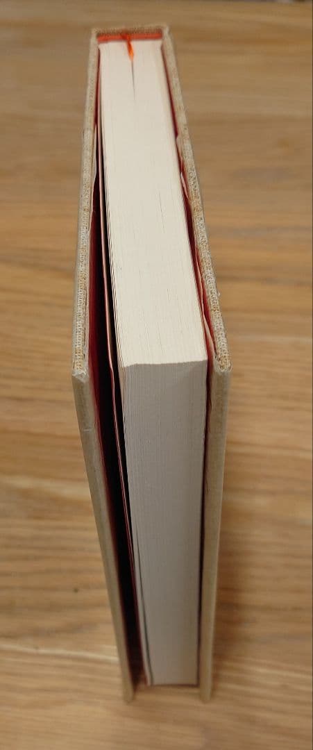 悲の器 高橋和巳 特製限定版