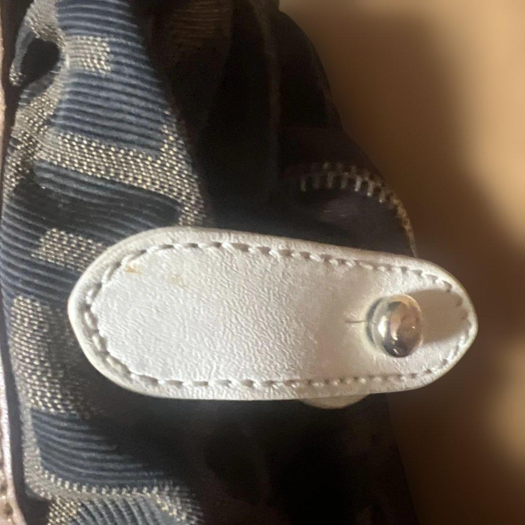 FENDI バッグ　ズッカ柄