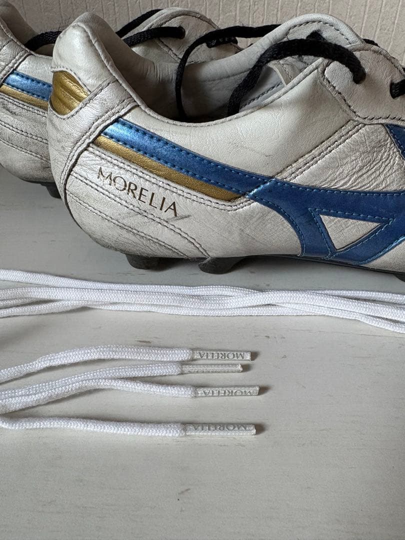 MIZUNO モレリア2ジャパン　限定色　25cm