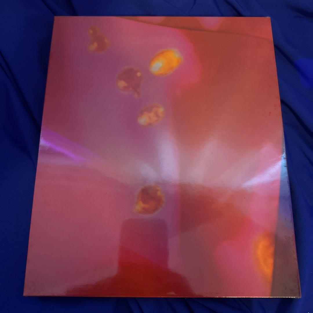 蜷川実花 CELINE meets Mika Ninagawa DVD付　新品