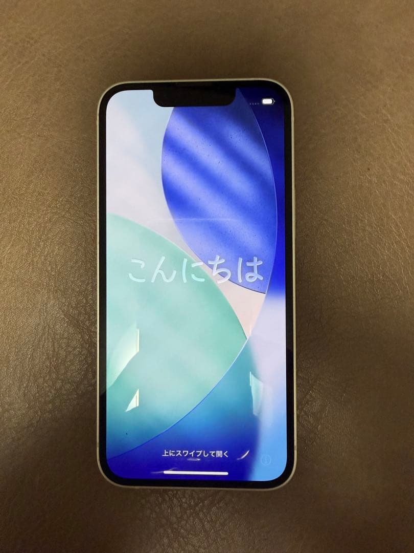 蛸様　Apple iPhone 13 mini スターライト ケーブル フィルム