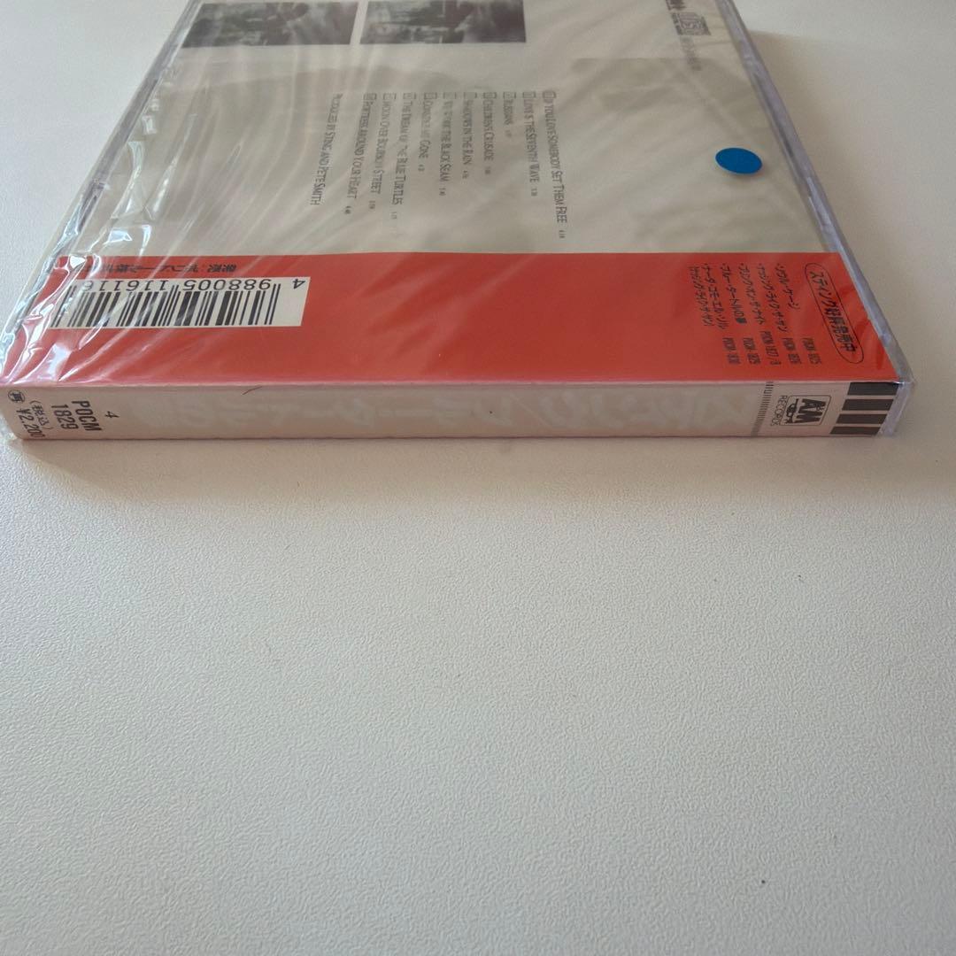 スティング The Dream of the Blue Turtles