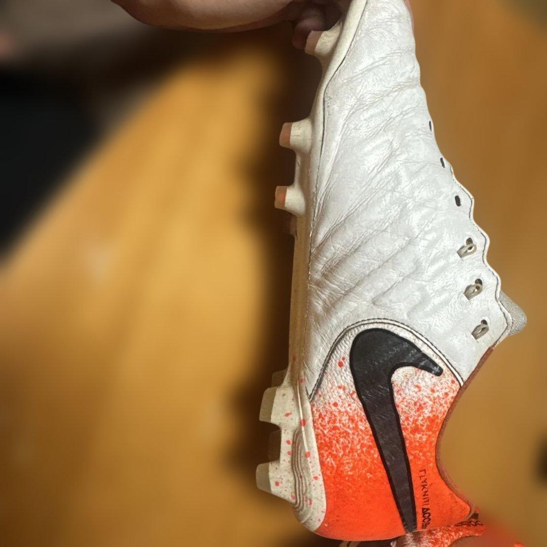 ティエンポレジェンド7 F G