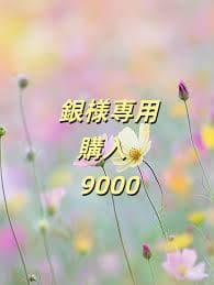 銀購入 9000