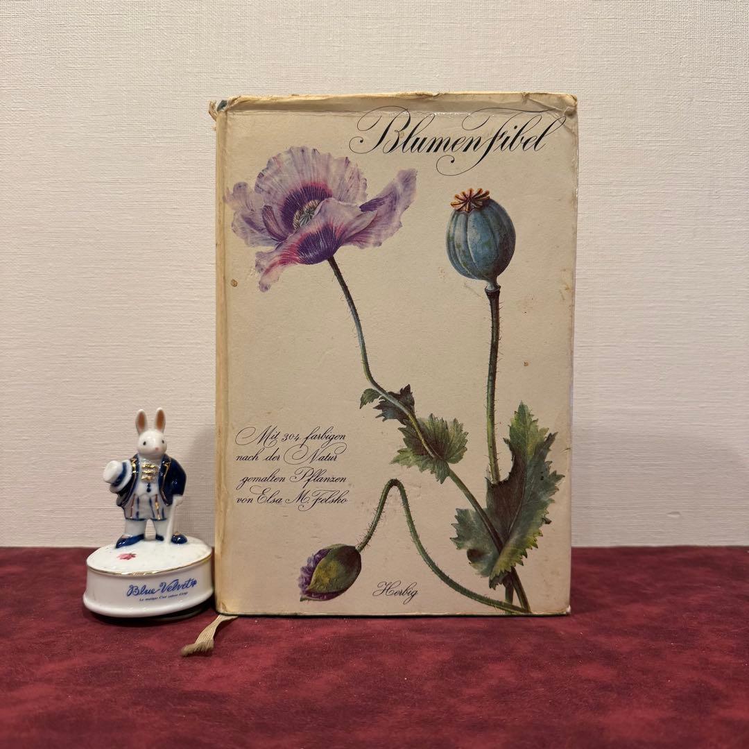 28③1966年ドイツElsa Flesko植物図鑑　植物画　ジャンクジャーナル