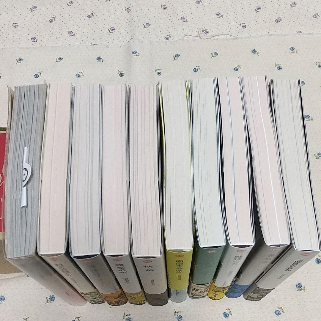 新品同様 panpanya パンパンヤ コミック10冊セット＋ペーパー特典付き