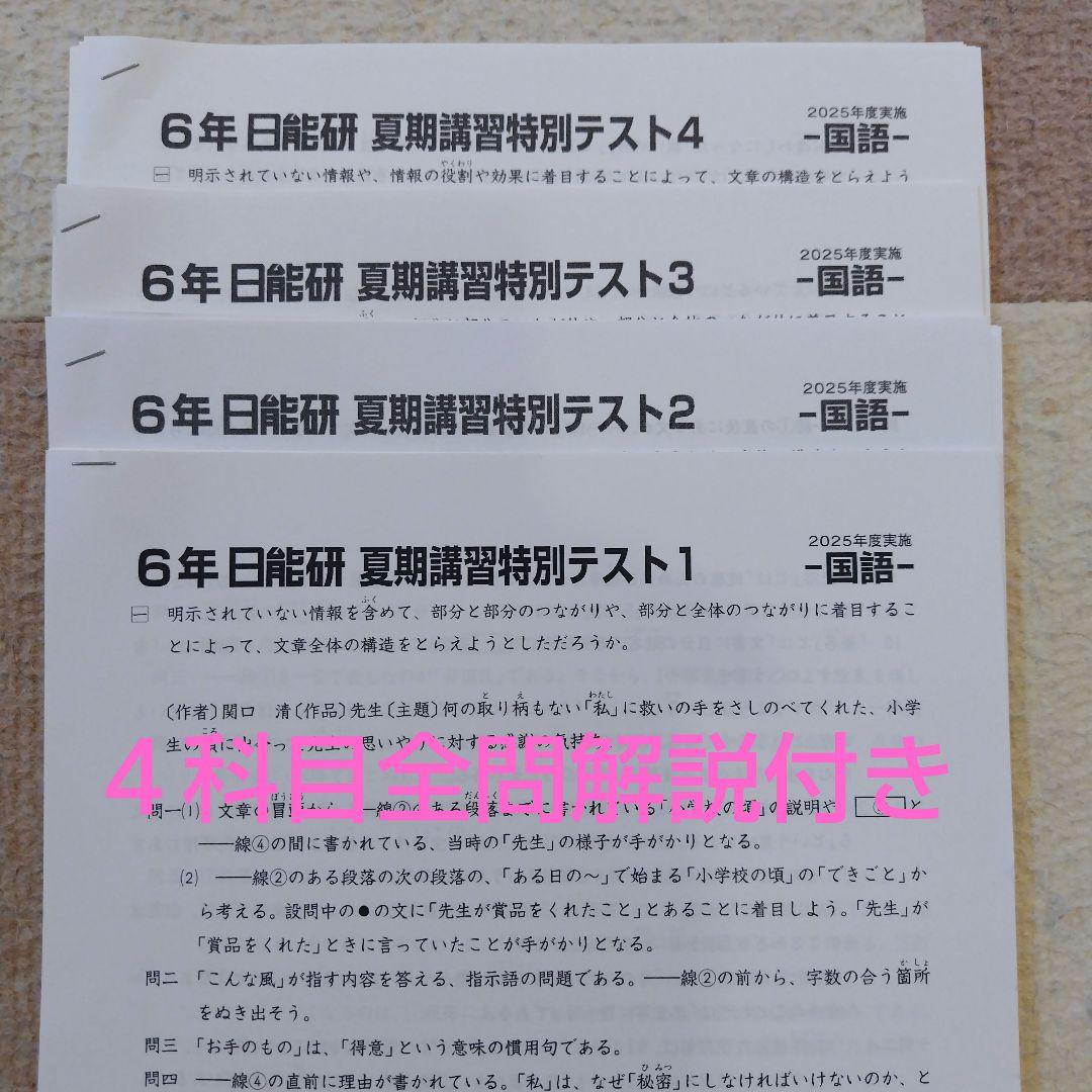 【最新版】2025年度日能研 6年 夏期講習特別テスト①②③④