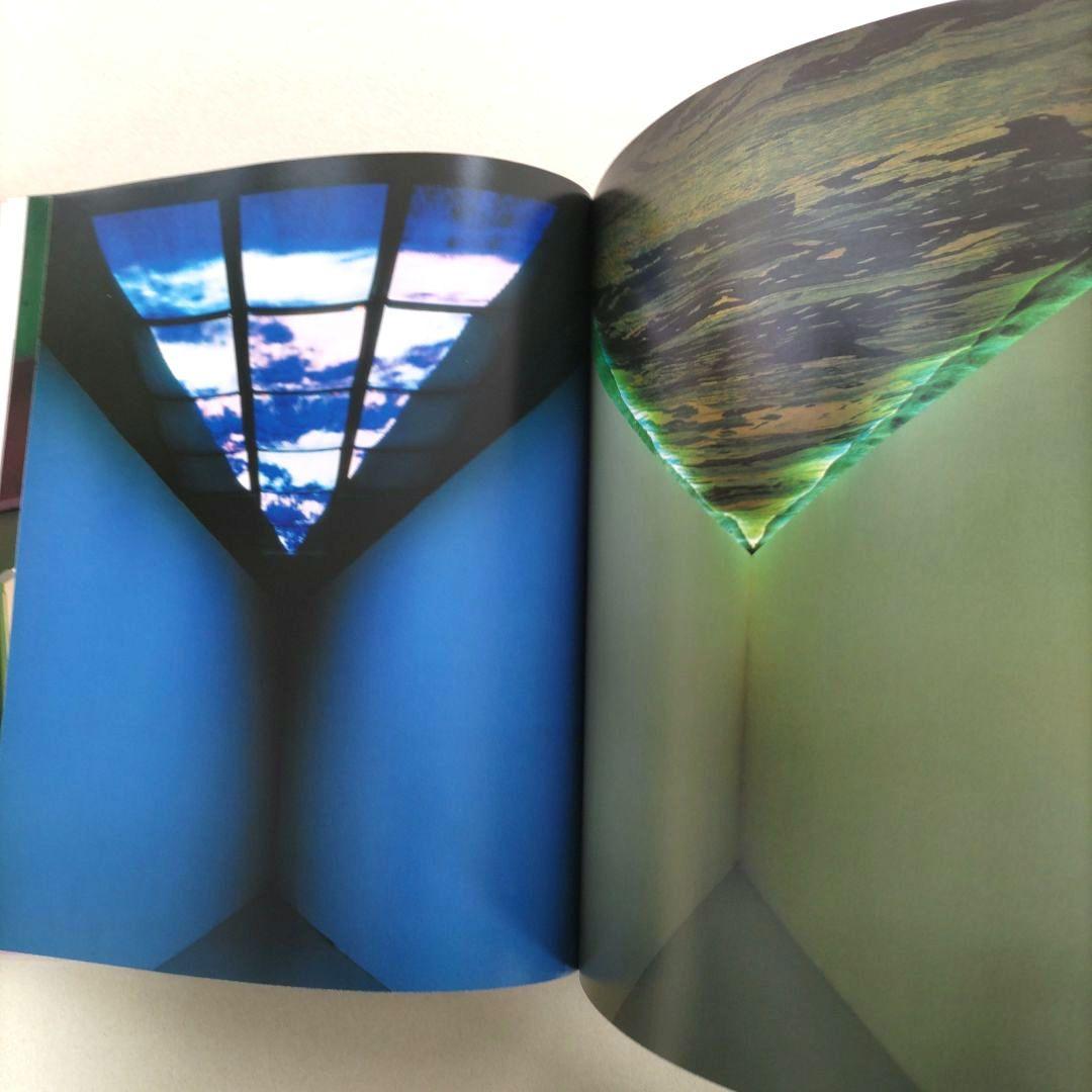 NEW MATERIAL AS NEW MEDIA/アートブック 作品集 洋書