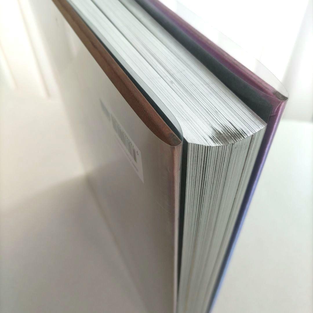 NEW MATERIAL AS NEW MEDIA/アートブック 作品集 洋書