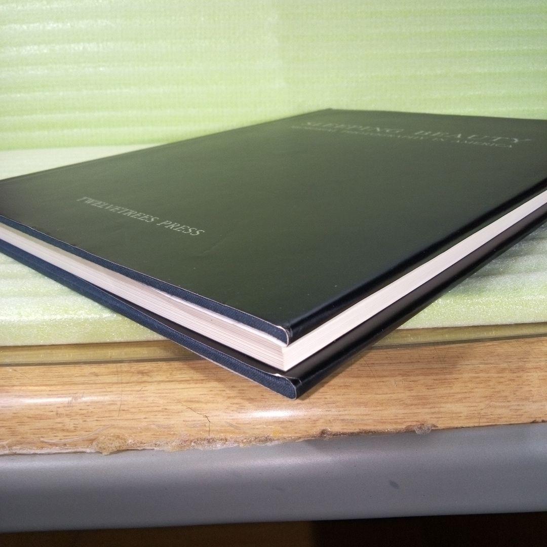 洋書 Sleeping Beauty : Memorial Photography