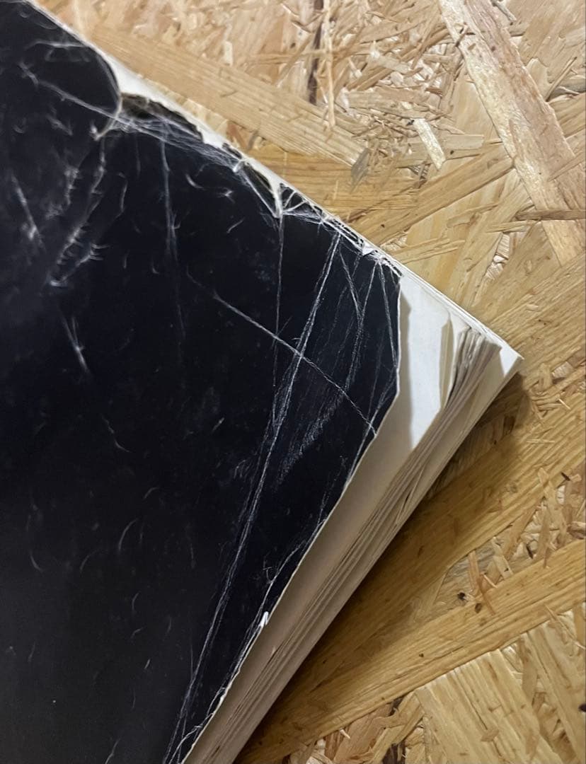 Sputnik 中古本 野村訓市