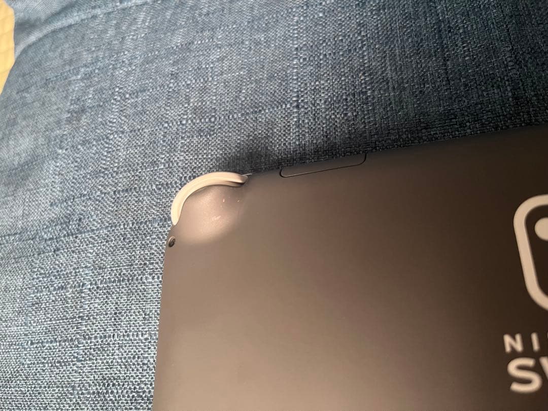 Switchライト　グレー　microSD 充電器付き　初期化済み