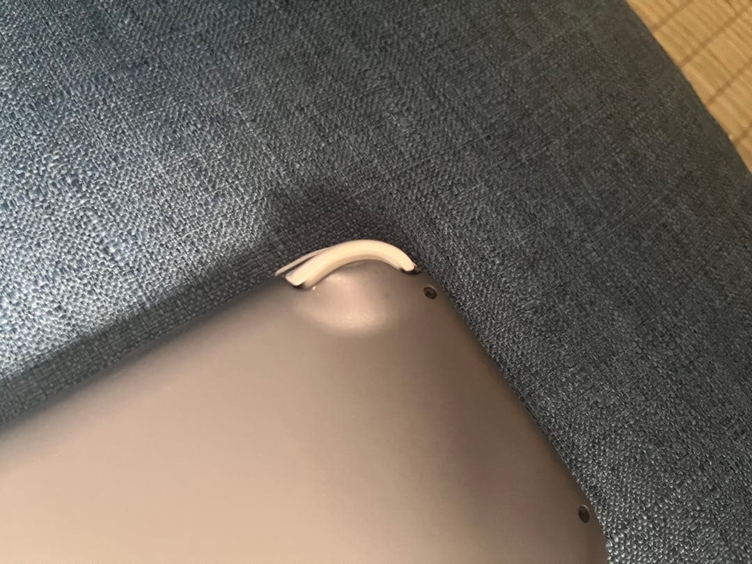 Switchライト　グレー　microSD 充電器付き　初期化済み