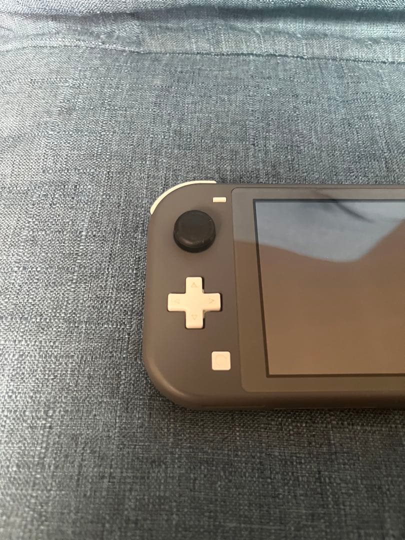 Switchライト　グレー　microSD 充電器付き　初期化済み