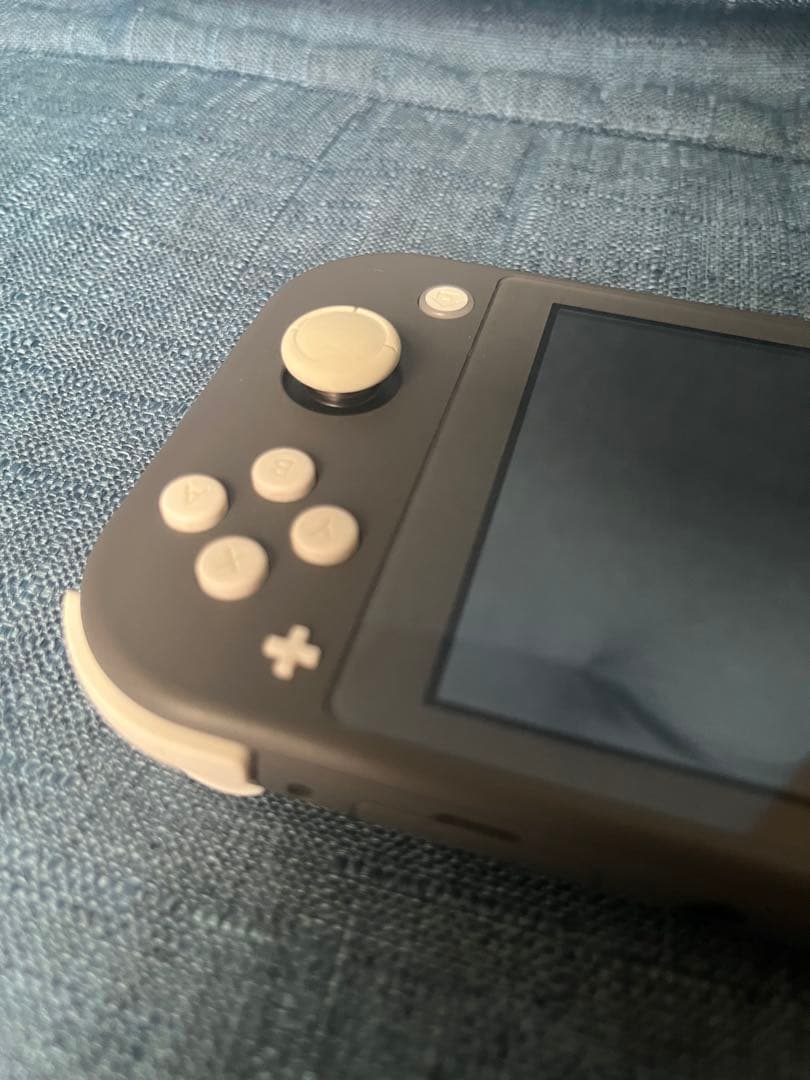 Switchライト　グレー　microSD 充電器付き　初期化済み