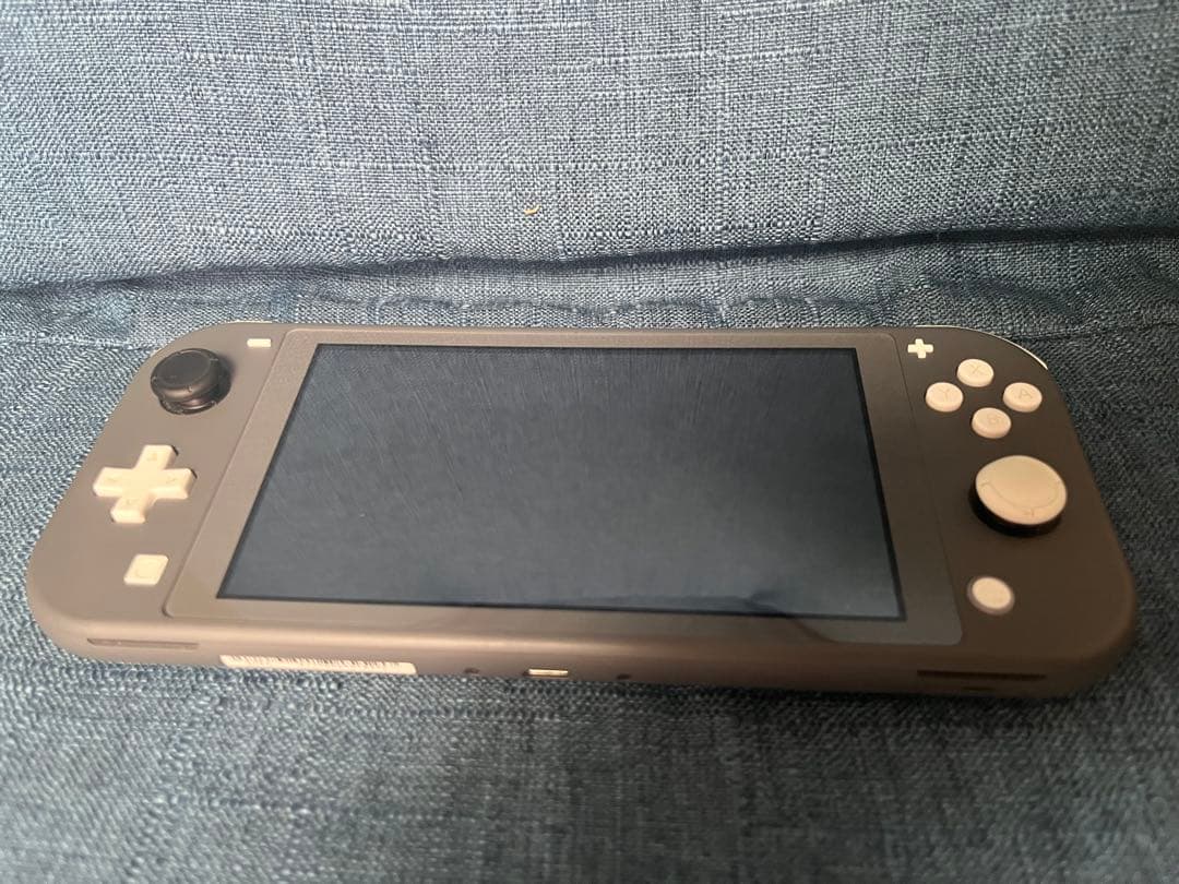 Switchライト　グレー　microSD 充電器付き　初期化済み