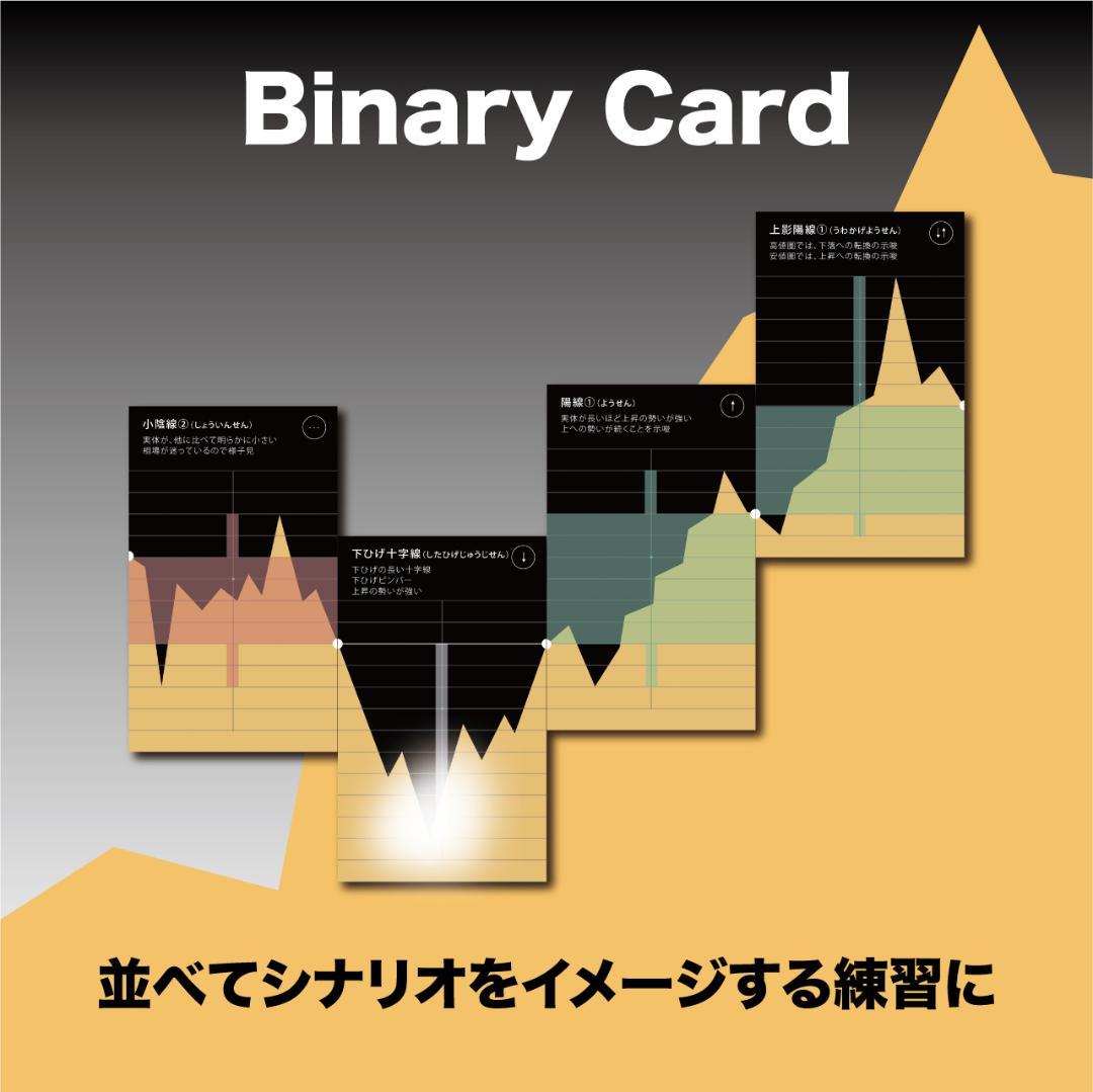 講座用｜3点まとめ｜バイナリーカード｜教材｜新品未使用｜学習教材｜ハイロー