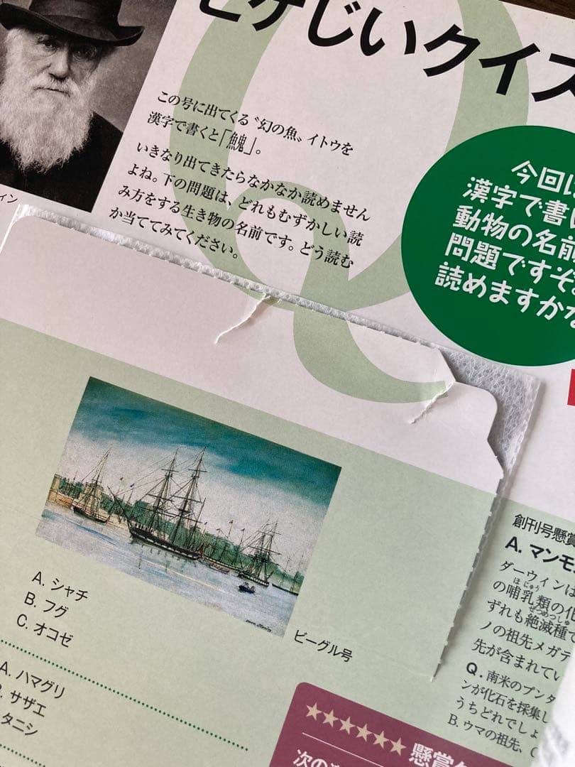 NHKダーウィンが来た! DVDブック1-45巻