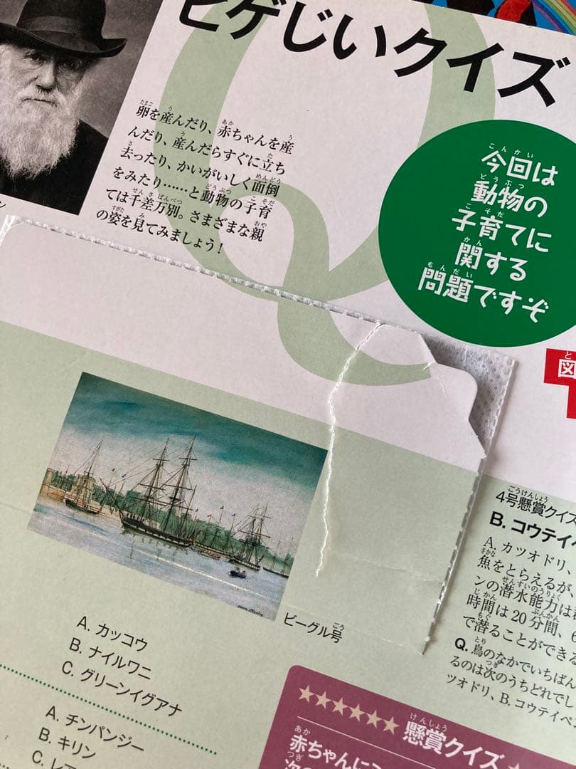 NHKダーウィンが来た! DVDブック1-45巻