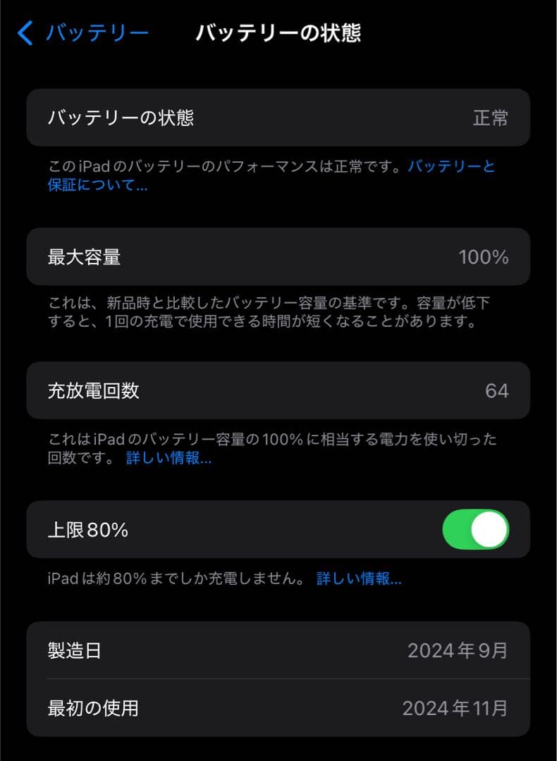 iPad mini 7（A17 Pro）512GB Wi-Fiモデル ブルー