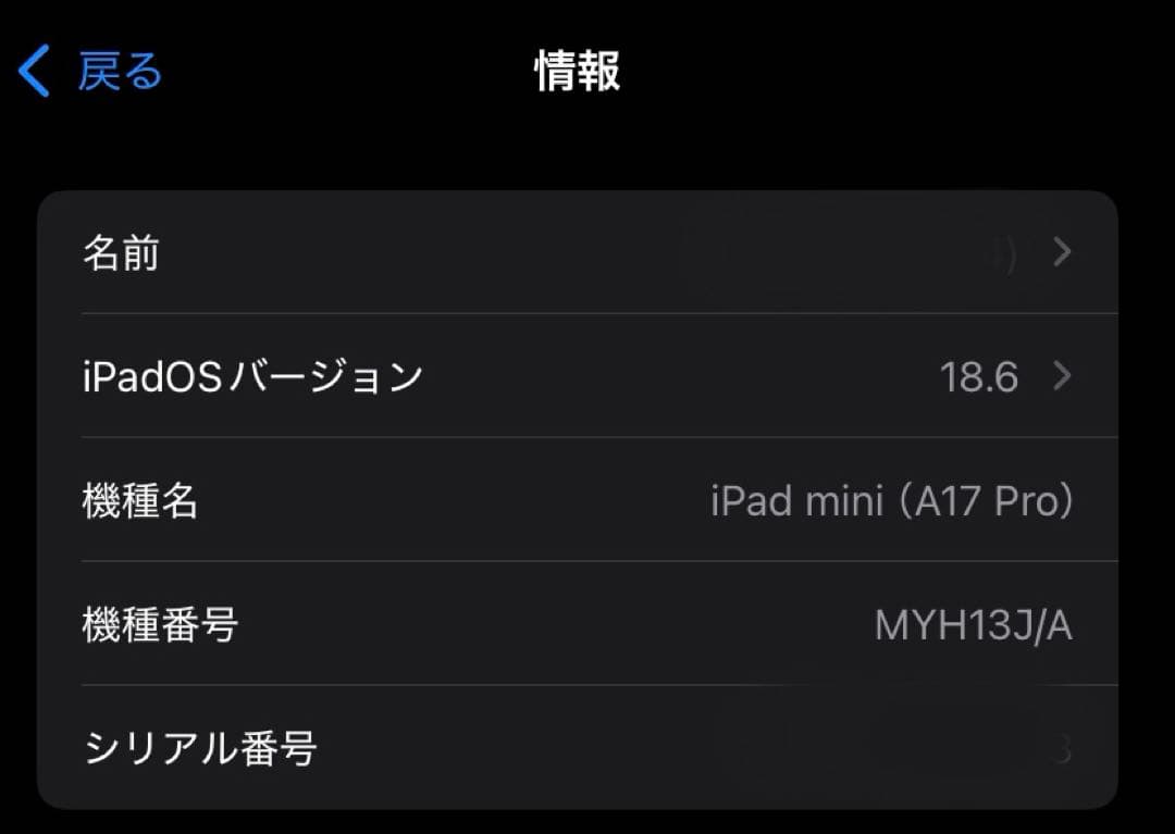 iPad mini 7（A17 Pro）512GB Wi-Fiモデル ブルー