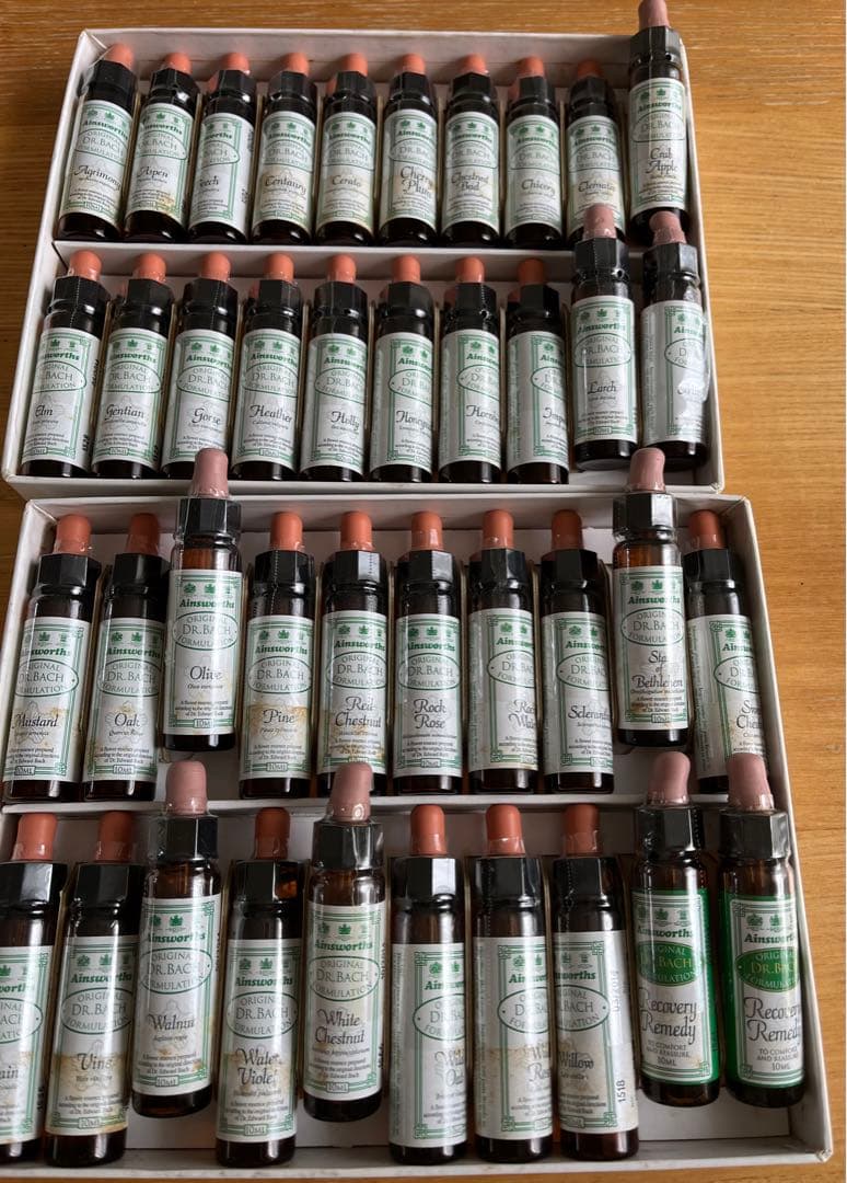 バッチフラワーエッセンス エインズワース社　40本フルセット　バッチ博士の遺産