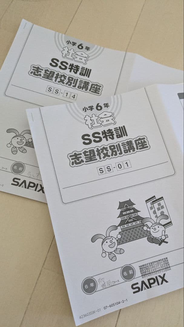SS特訓志望校別講座 社会一式　サピックス SAPIX 小6