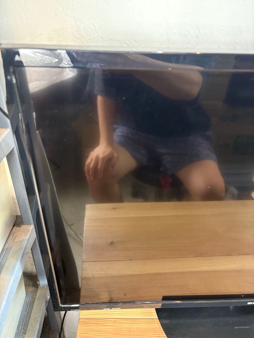 SHARP シャープ AQUOS 液晶カラーテレビ 2T-C32AE1 2019