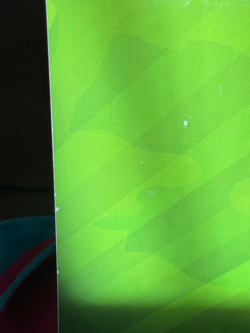 かなた様　OGASAKA FT-SR164phtasant