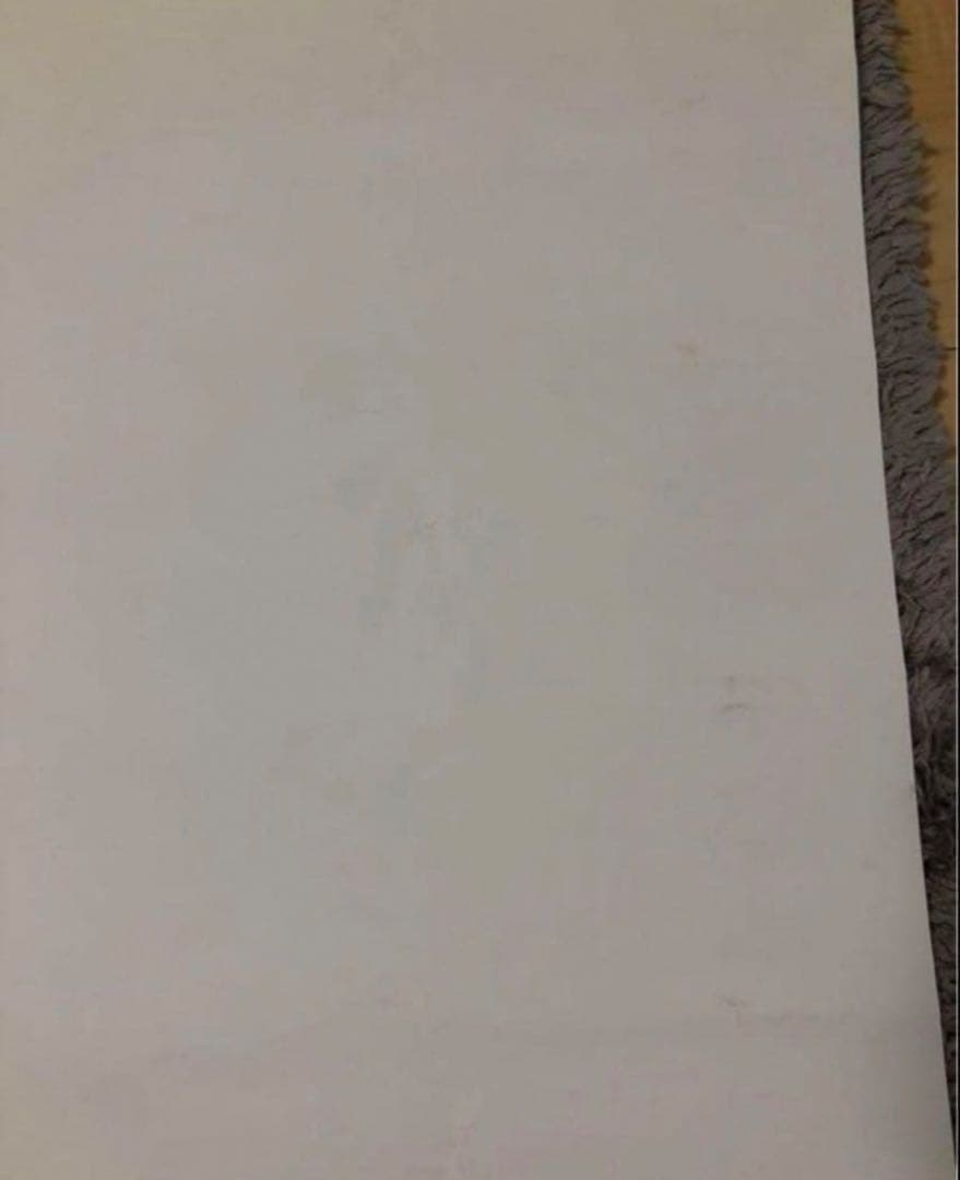 当選品‼️ONE PIECE B2ポスター2000名限定 購入はこちらの承諾必要‼️