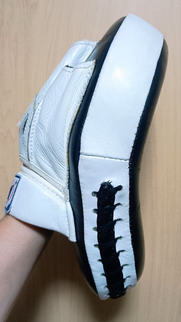 WINDY PP-10 パンチングミット(湾曲タイプ)