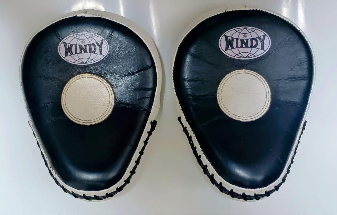 WINDY PP-10 パンチングミット(湾曲タイプ)