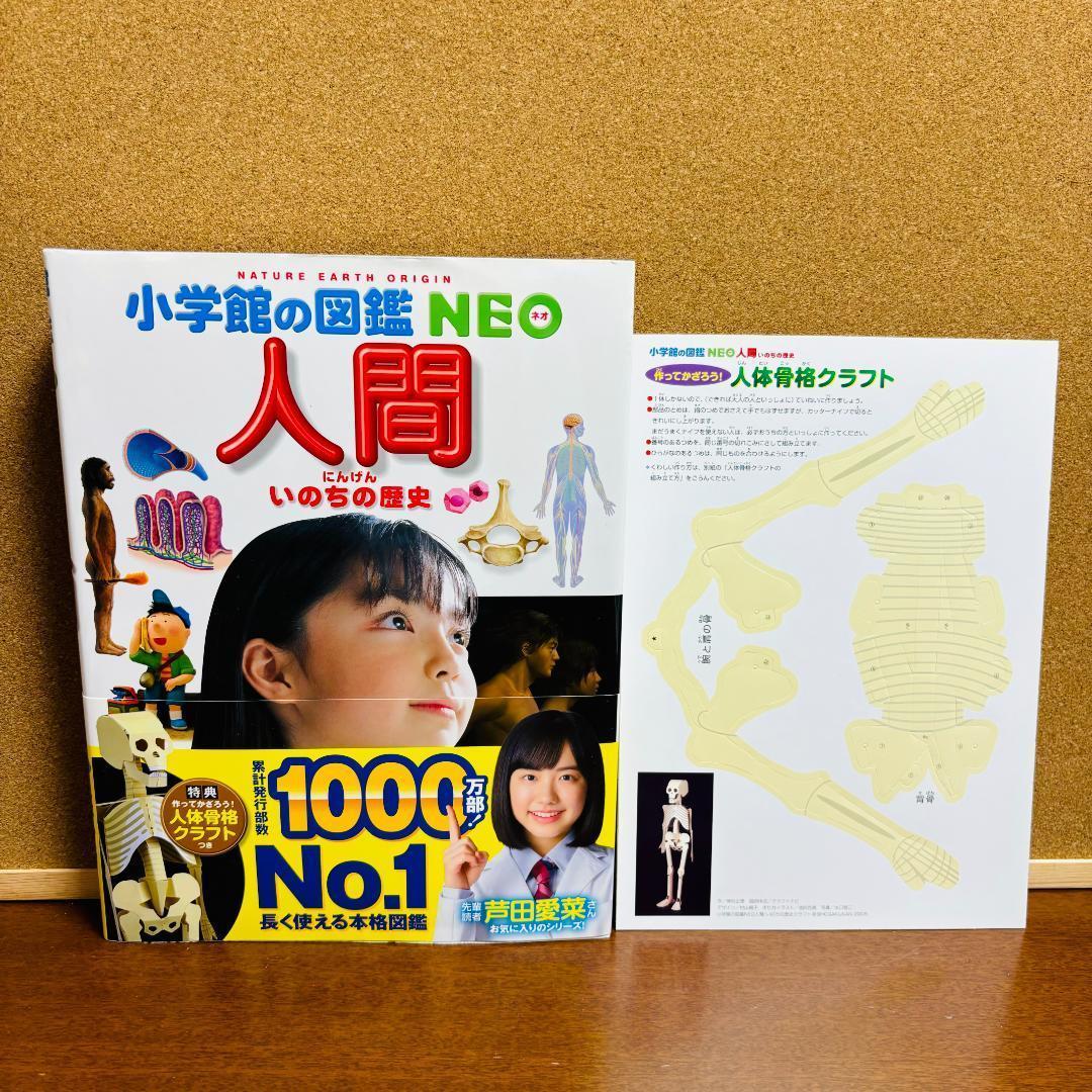 小学館の図鑑・NEO シリーズ 11冊セット