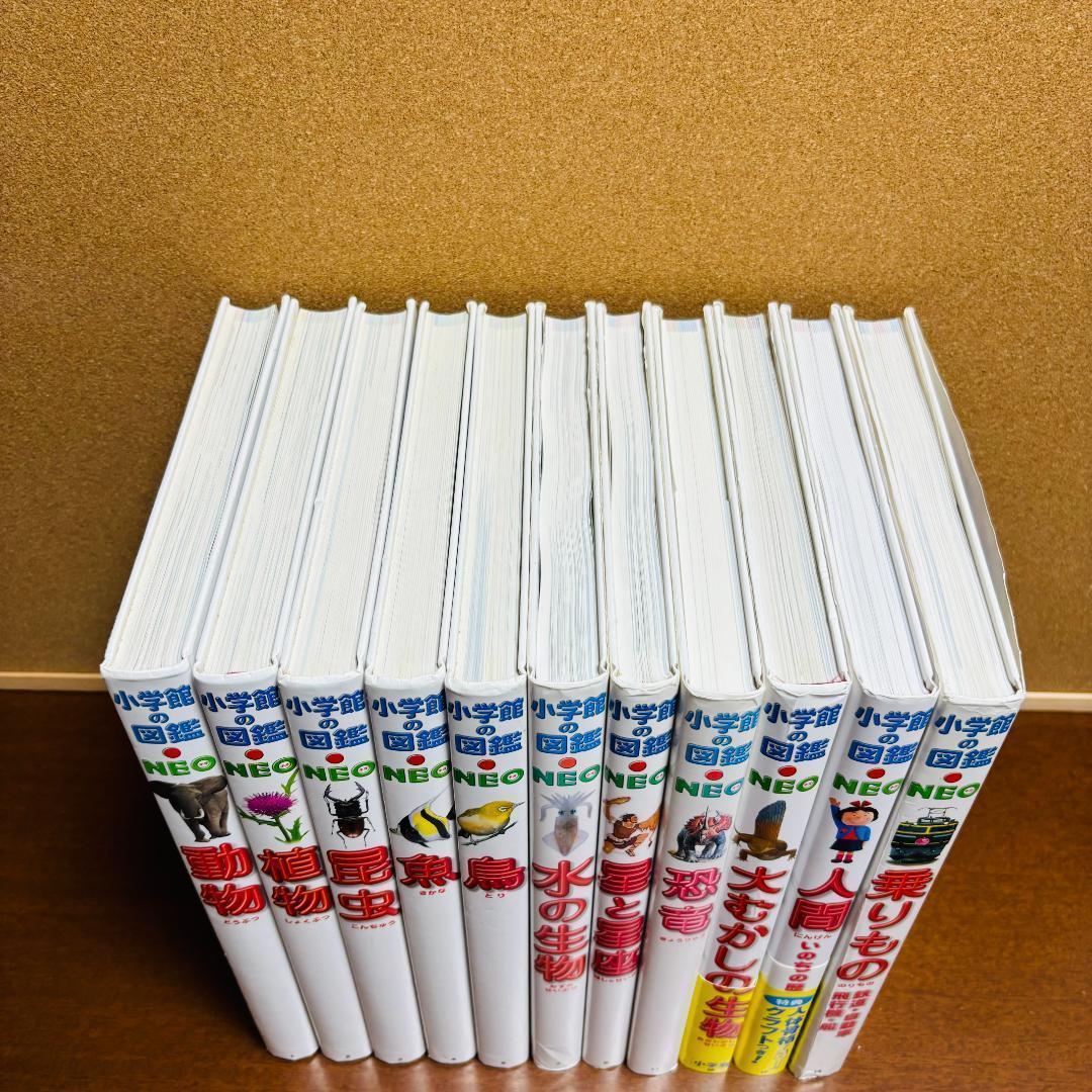 小学館の図鑑・NEO シリーズ 11冊セット