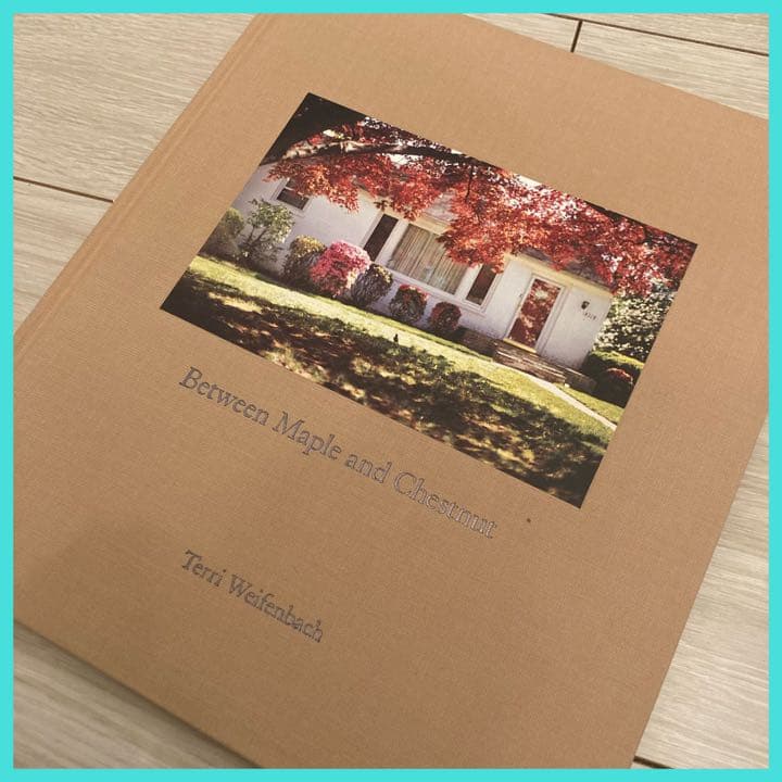 1,000部限定 希少❗️写真集　Terri Weifenbach