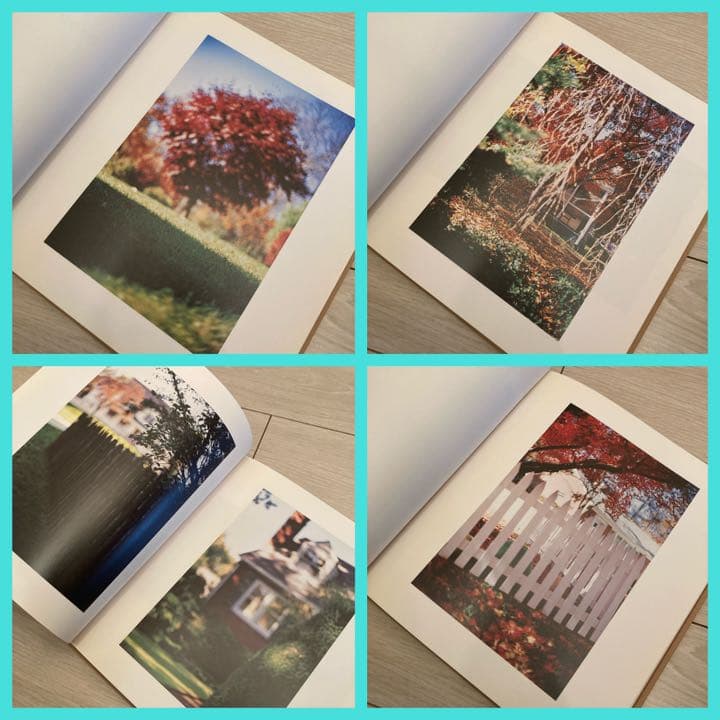 1,000部限定 希少❗️写真集　Terri Weifenbach