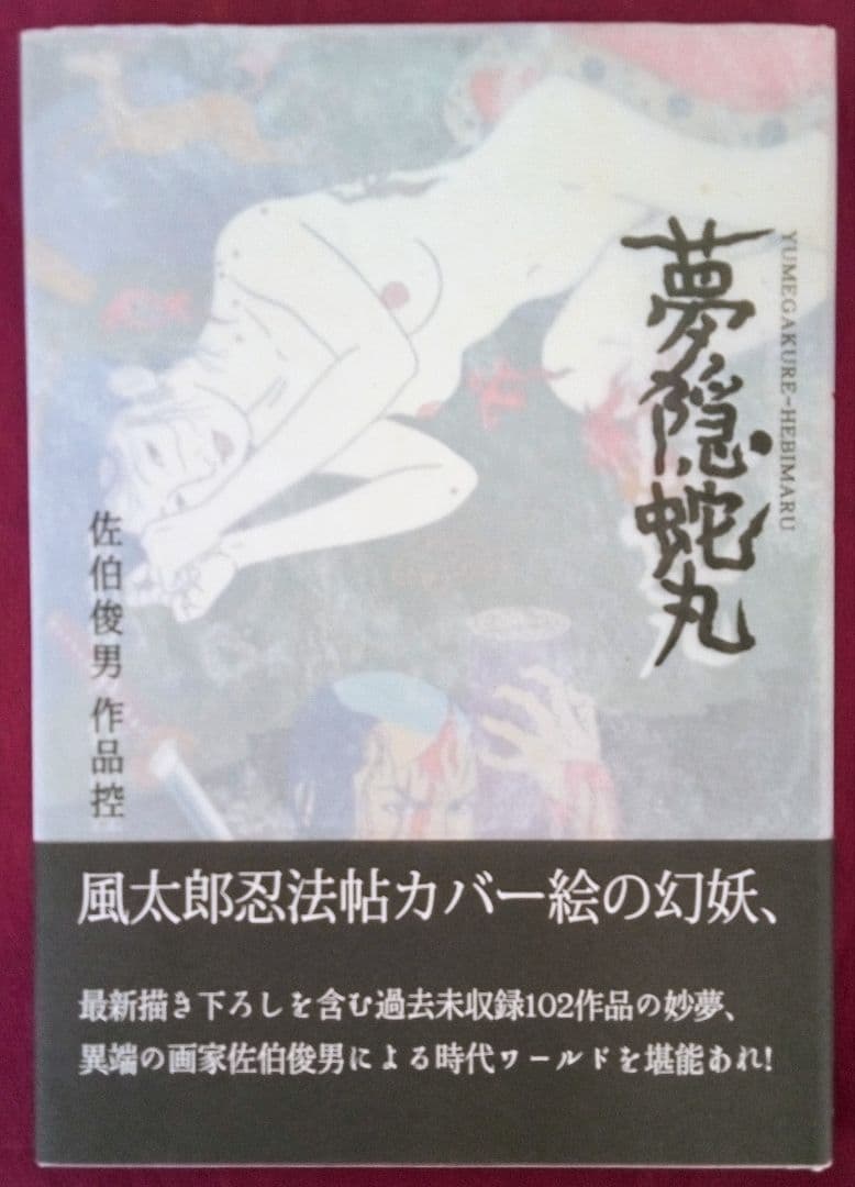 夢隠蛇丸 : 佐伯俊男作品控