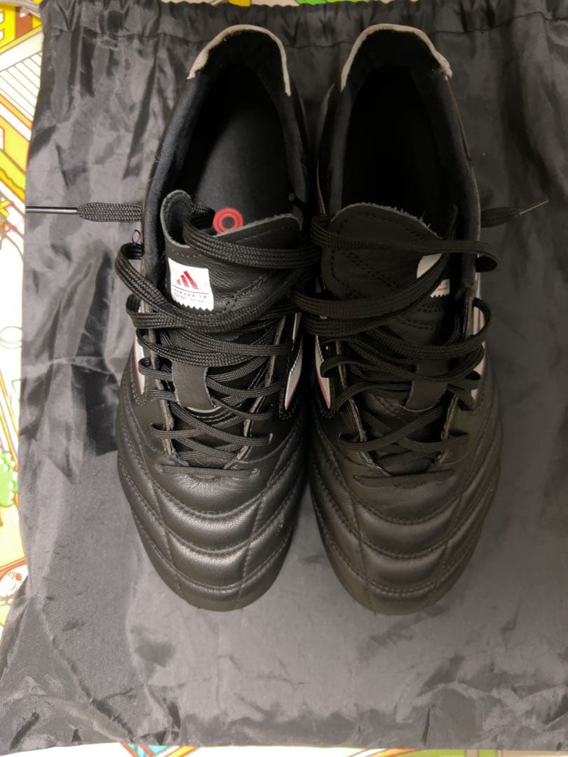 コパアイコン2 Hg 25.0