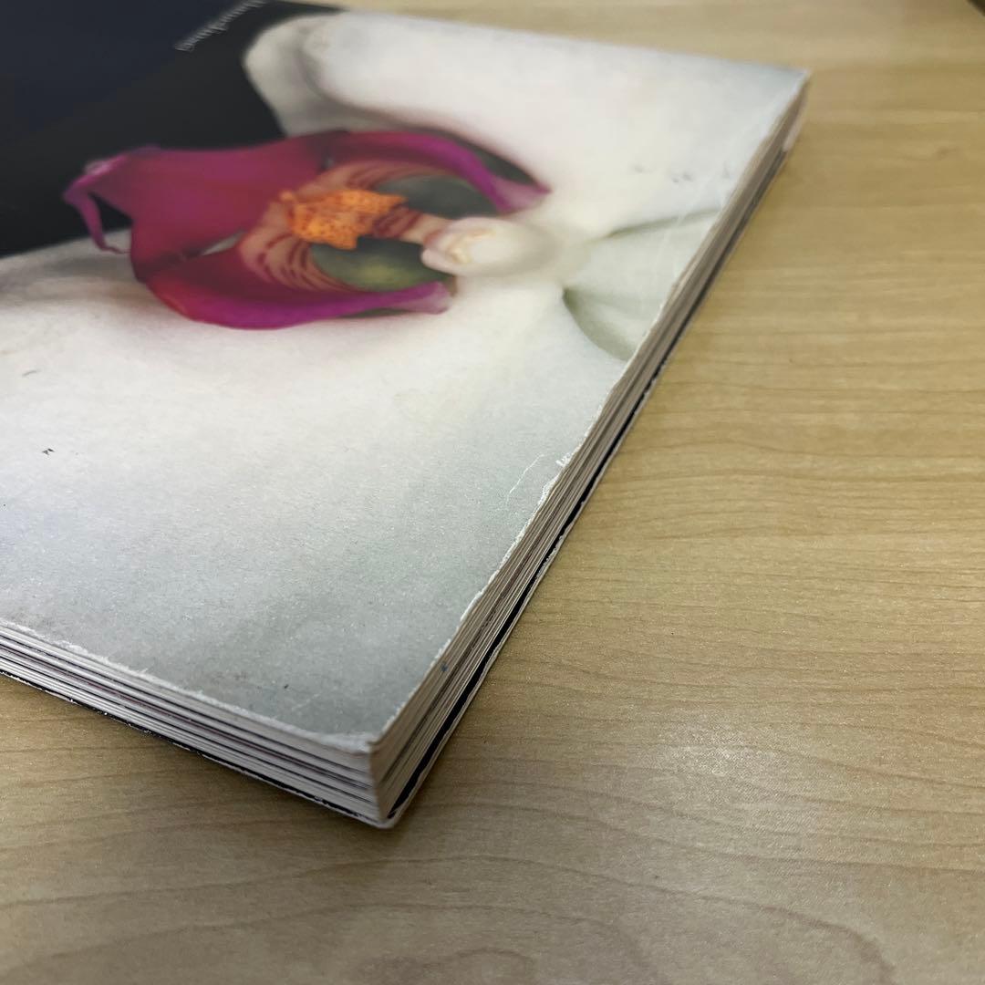 荒木経惟　花人生　Araki Nobuyoshi