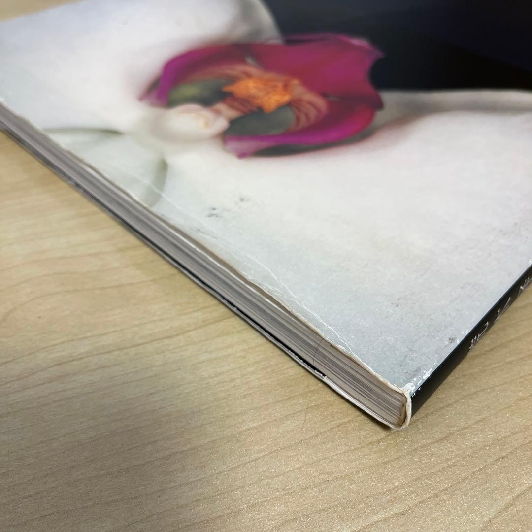 荒木経惟　花人生　Araki Nobuyoshi