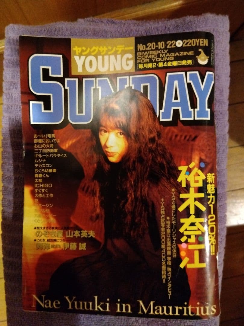 月刊少年マガジン　1993年12月特大号