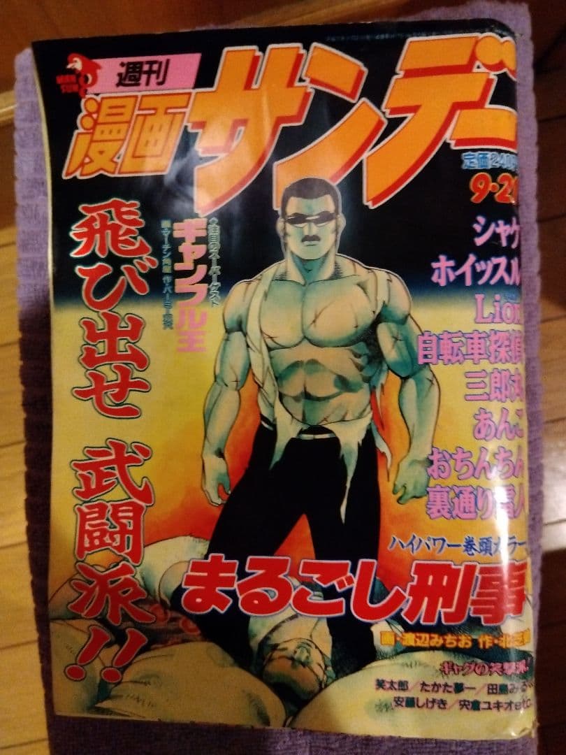 月刊少年マガジン　1993年12月特大号