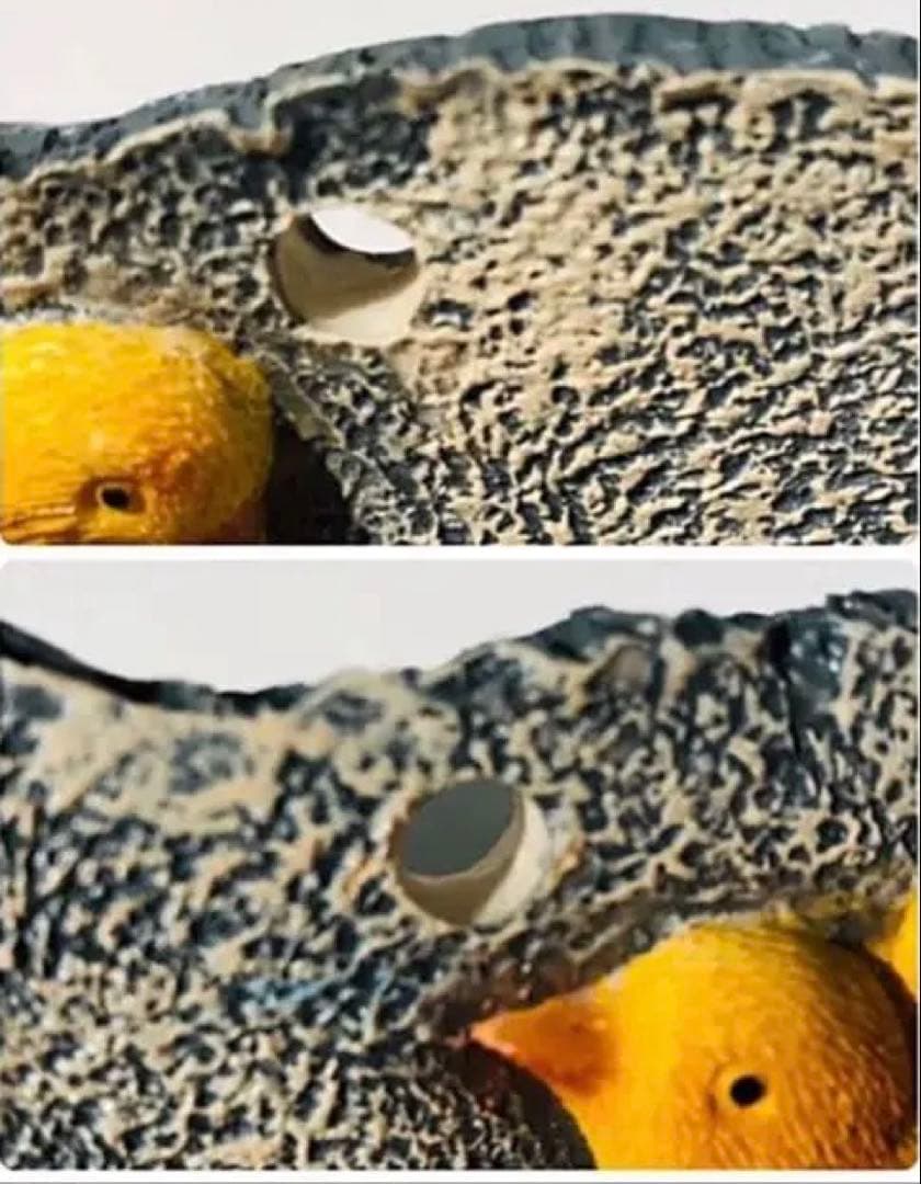 未使用◆レトロ/アンティーク/ビンテージ◆ウエルカムボード小鳥◆立体◆陶器⁉️石⁉️