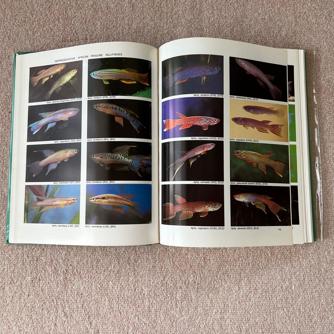 洋書　Atlas of KILLIFISHES（メダカ）　大型本