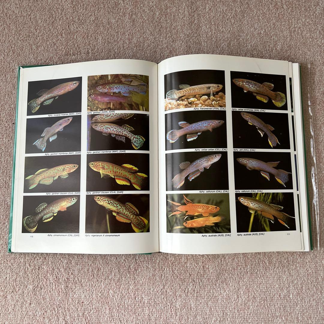 洋書　Atlas of KILLIFISHES（メダカ）　大型本