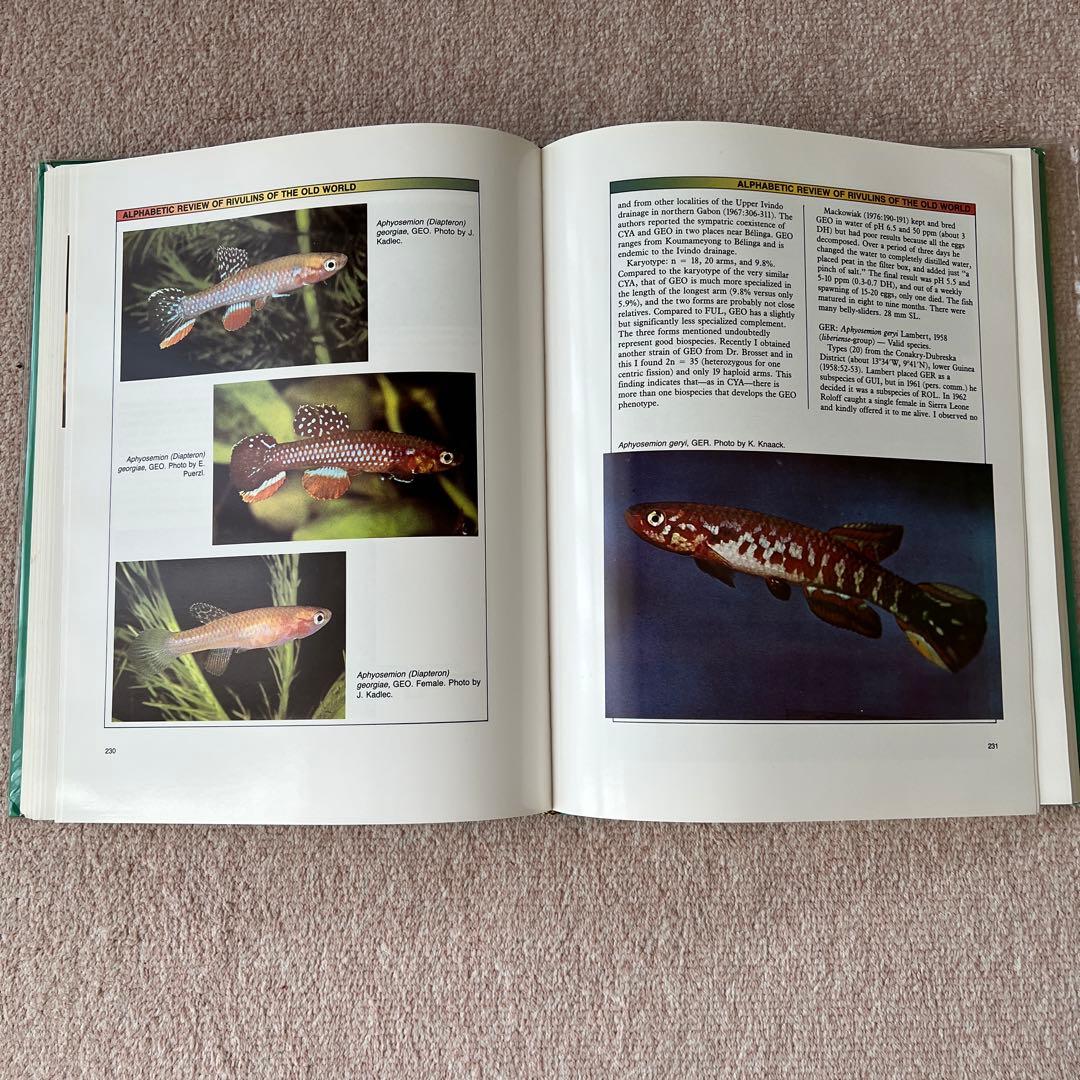 洋書　Atlas of KILLIFISHES（メダカ）　大型本