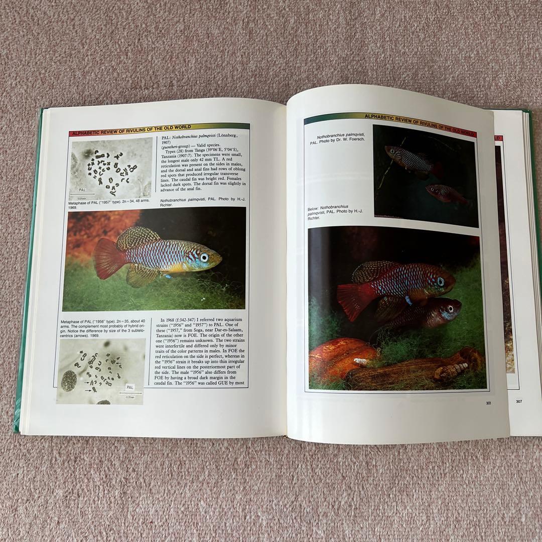 洋書　Atlas of KILLIFISHES（メダカ）　大型本