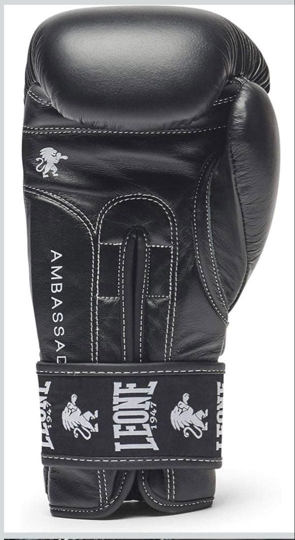 ボクシンググローブ　LEONE 1047 10オンス　本革