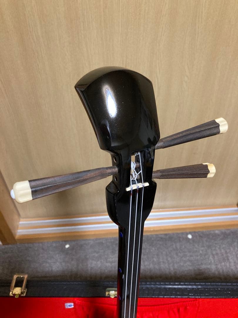 沖縄三線 人工皮 蛇柄 ハードケース 教本付